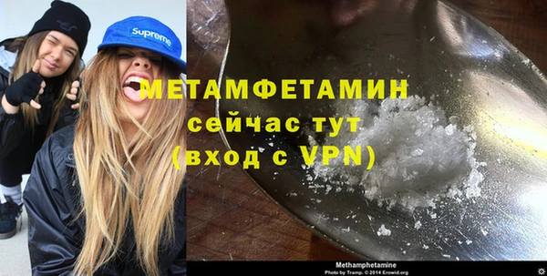 гидра Алексин