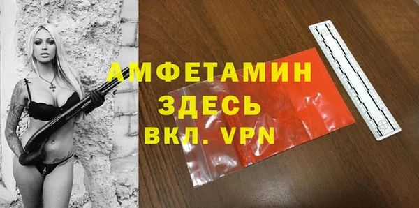 гидра Алексин