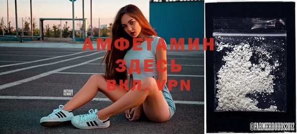 дурь Алзамай