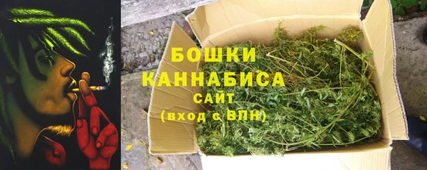 дурь Алзамай