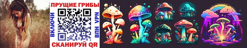 Галлюциногенные грибы Psilocybine cubensis  Лаишево 